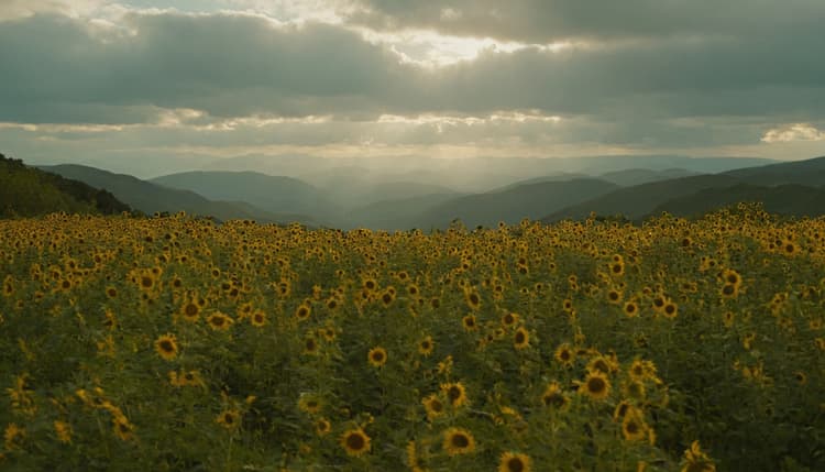 Philippians 4:13 (NIV)